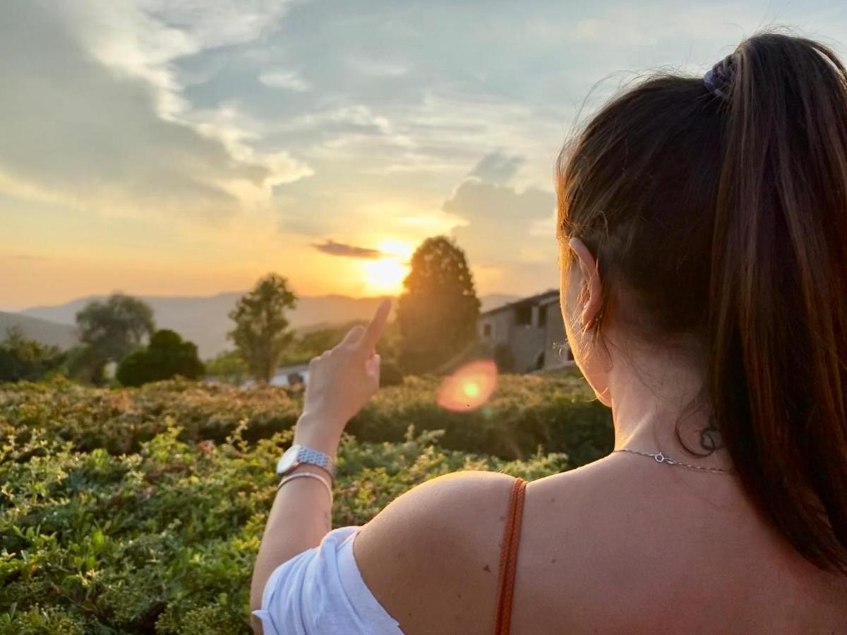 Agriturismo Le Case Assisi Ngoại thất bức ảnh