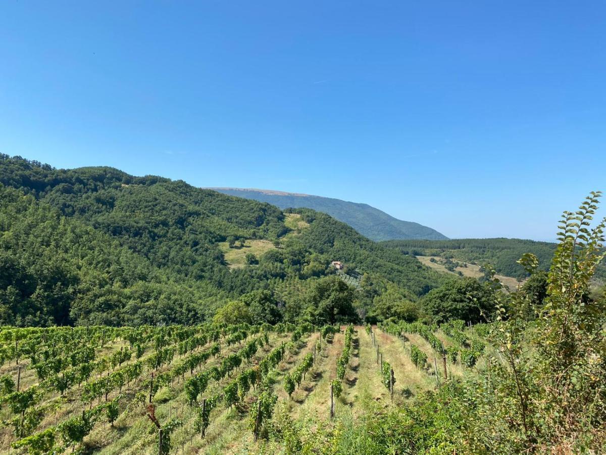 Agriturismo Le Case Assisi Ngoại thất bức ảnh