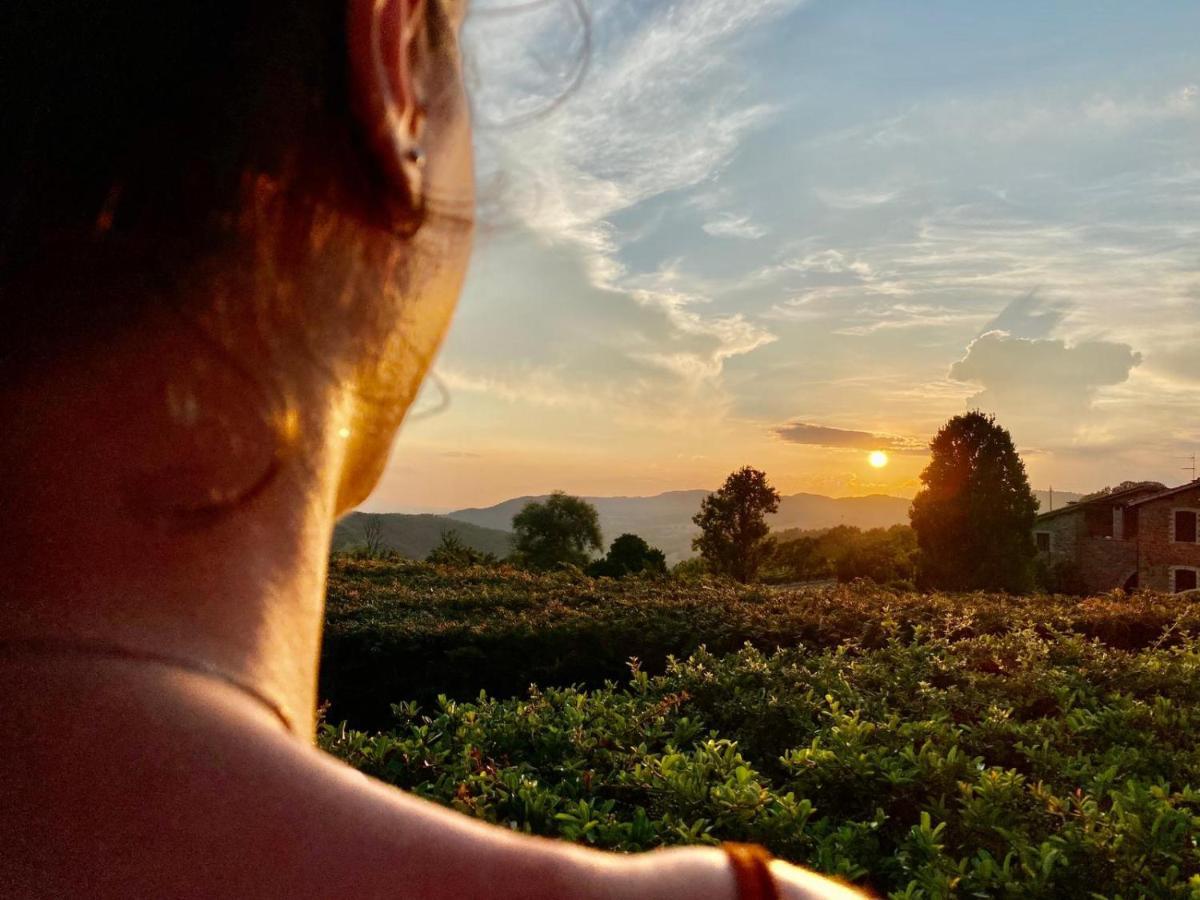 Agriturismo Le Case Assisi Ngoại thất bức ảnh