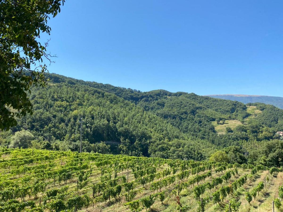 Agriturismo Le Case Assisi Ngoại thất bức ảnh