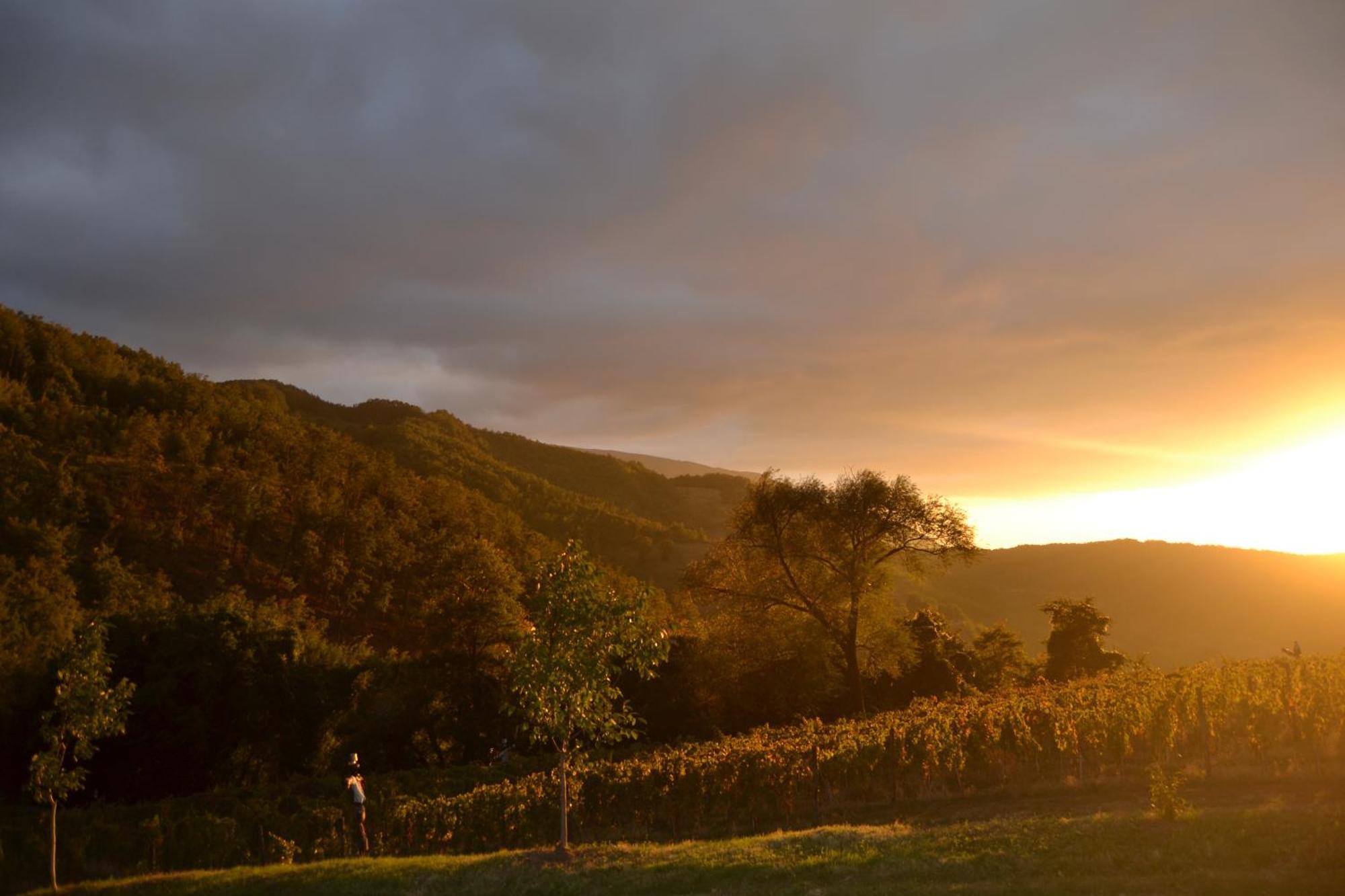 Agriturismo Le Case Assisi Ngoại thất bức ảnh